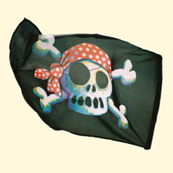 Piraten Flagge Lutz Mauder